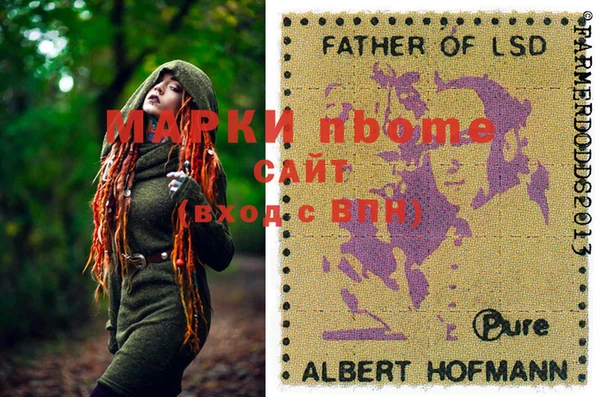 ГАЛЛЮЦИНОГЕННЫЕ ГРИБЫ Абаза