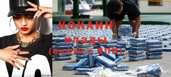 ГАЛЛЮЦИНОГЕННЫЕ ГРИБЫ Абаза