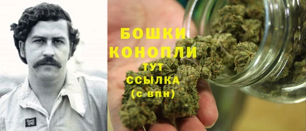 ГАЛЛЮЦИНОГЕННЫЕ ГРИБЫ Абаза